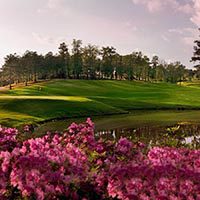 Shop and Play - St Clair County Airport