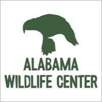 Attractions near St Clair County Airport - Alabama Wildlife Center